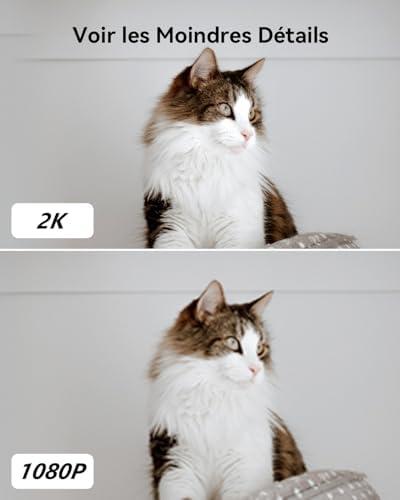 Imou 2K(3MP) Caméra Surveillance WiFi Intérieure Caméra 360° Connectée Smartphone avec Détection Humaine AI Suivi Intelligent Sirène Audio Bidirectionnel Compatible Alexa pour Bébé/Animaux|B08X6DCJT2